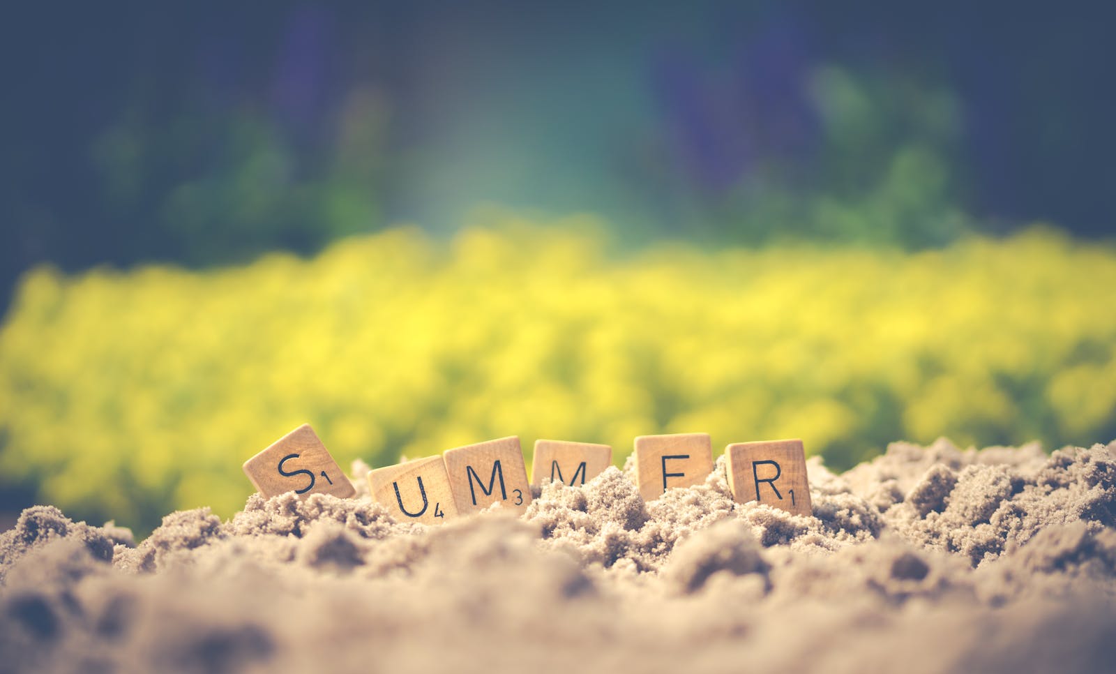 Summer Letter Cube on Soil